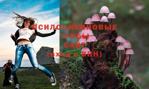 ALPHA-PVP Вязники