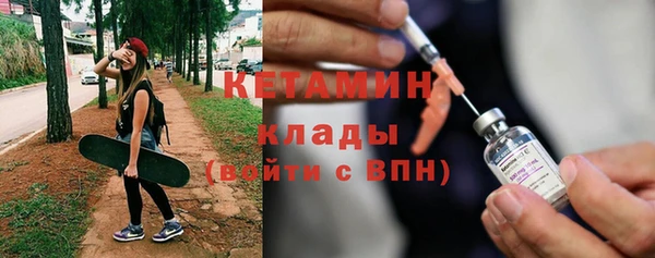 крисы Тайга